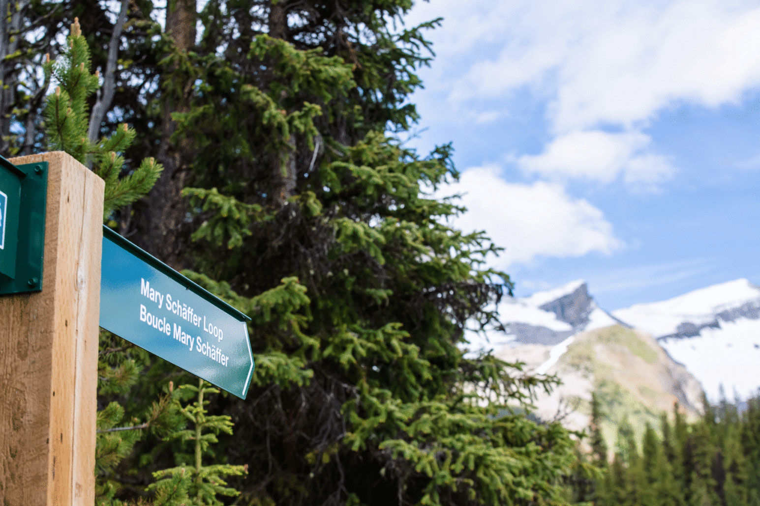 Mary Schafer Loop