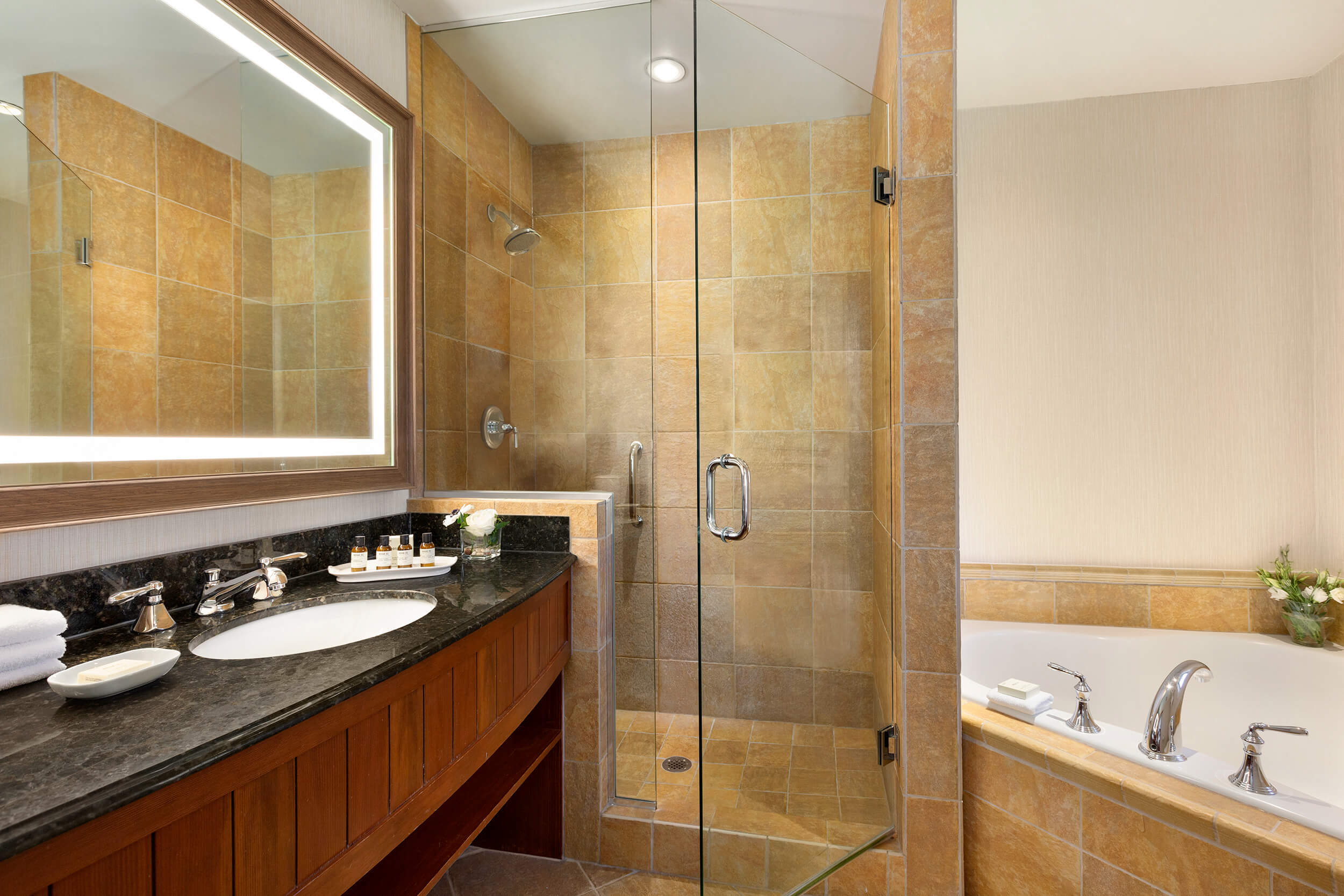 bathroom with walk-in shower and bathtub