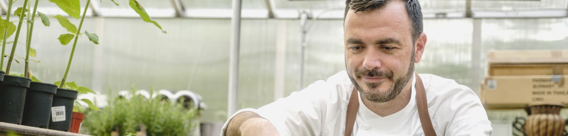 chef cutting some fresh herbs