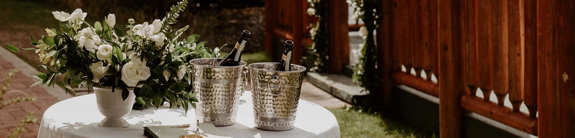 two bottles of champagne on ice by the lake | image credit: Terolenn Photography