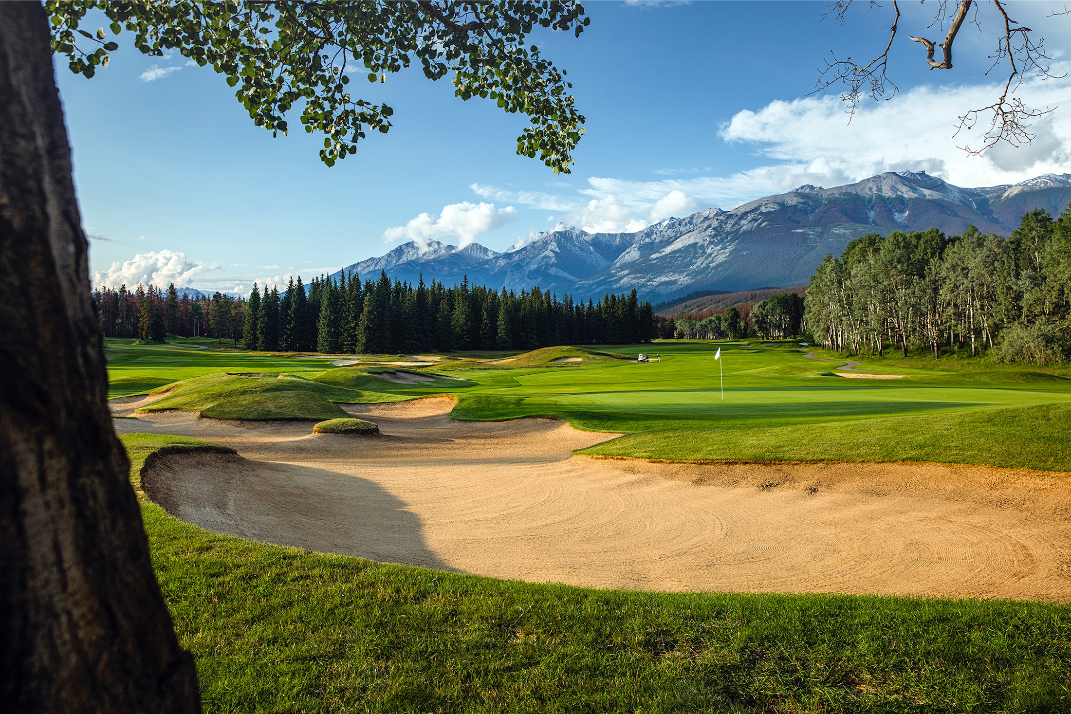 hole 10 the maze green looking back on old man jasper golf