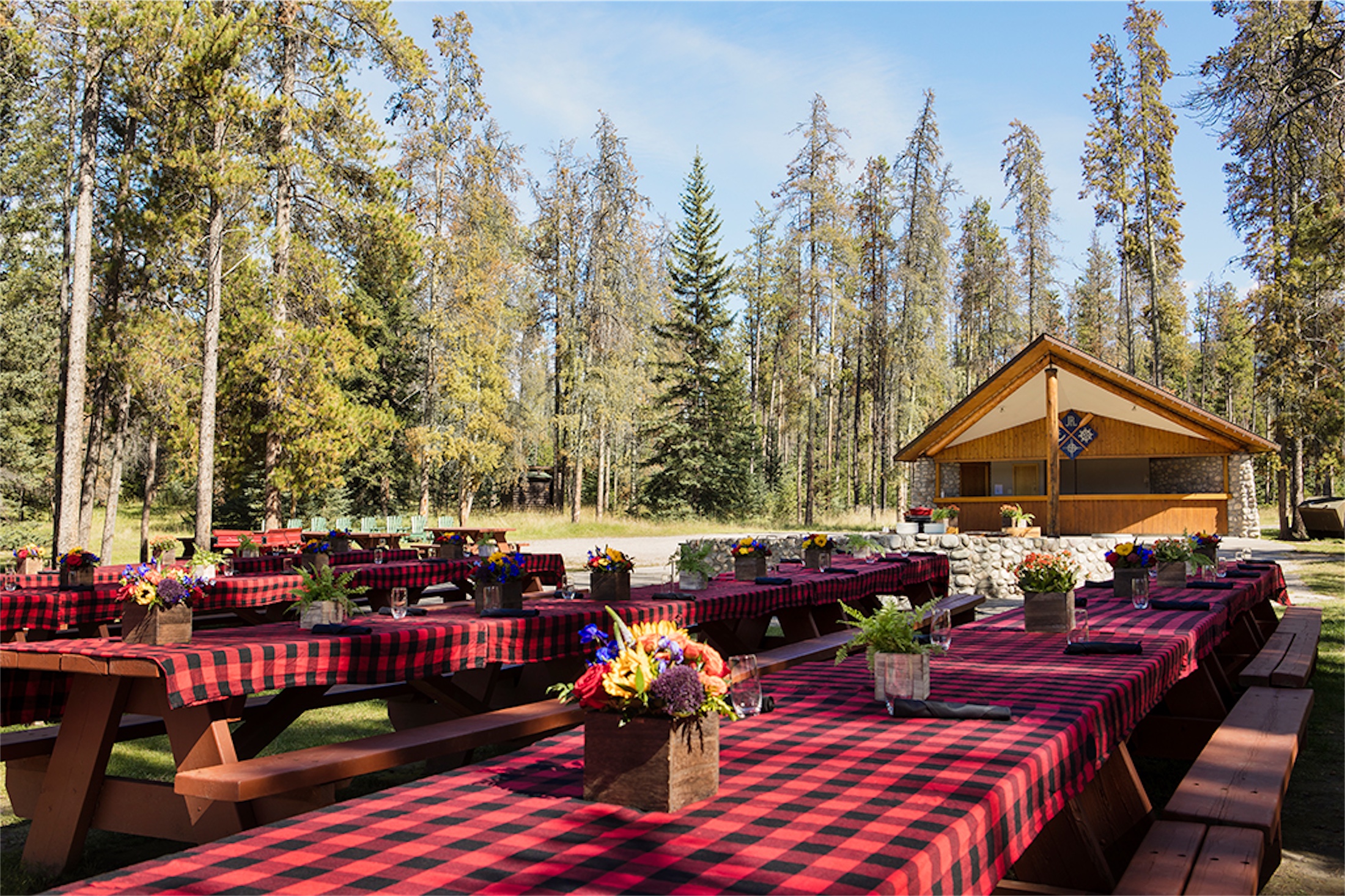 trefoil lake bbq setup next to forest