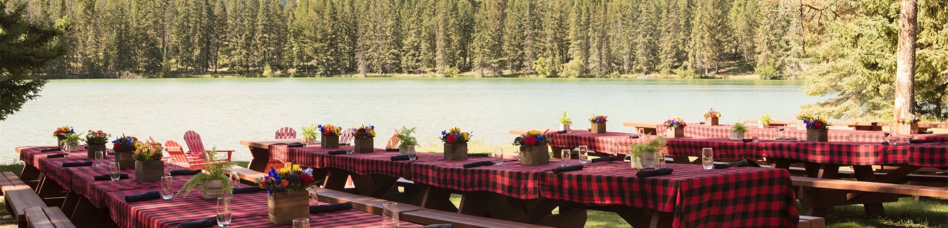 trefoil lake bbq setup