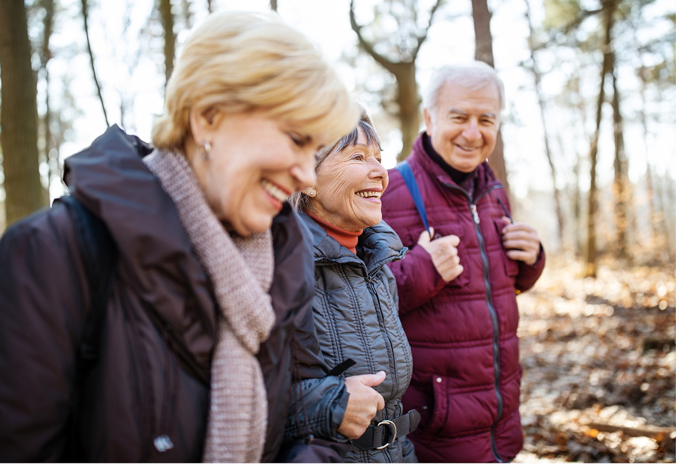 Three seniors hiking in the woods during autumn