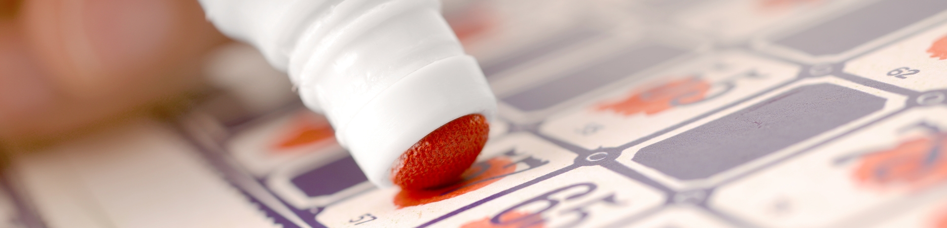 Bingo dotter on a Bingo card for Family Day Bingo at Jasper Park Lodge