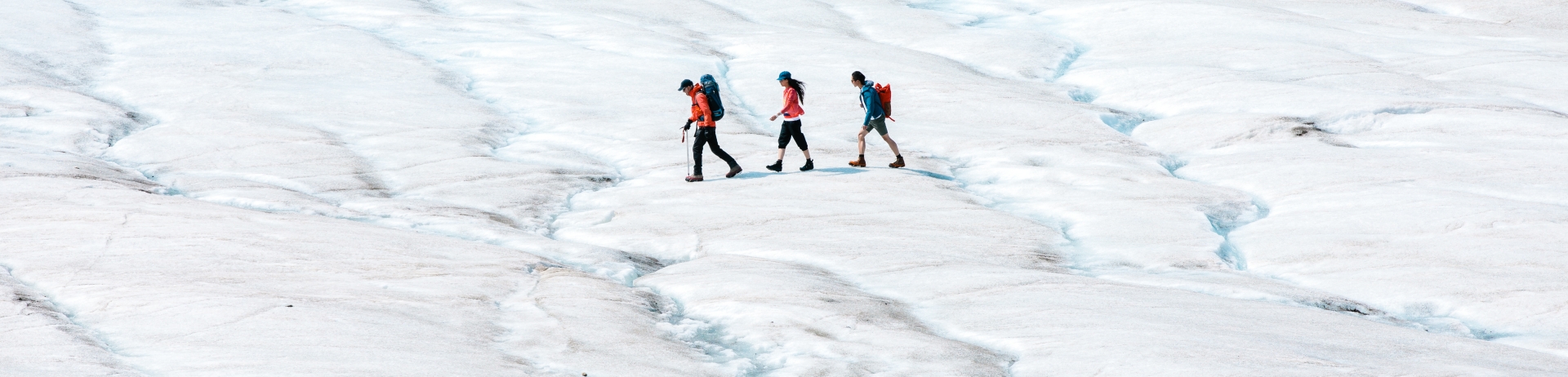 Three individuals hiking on the Athabasca Glacier in Jasper National Park.