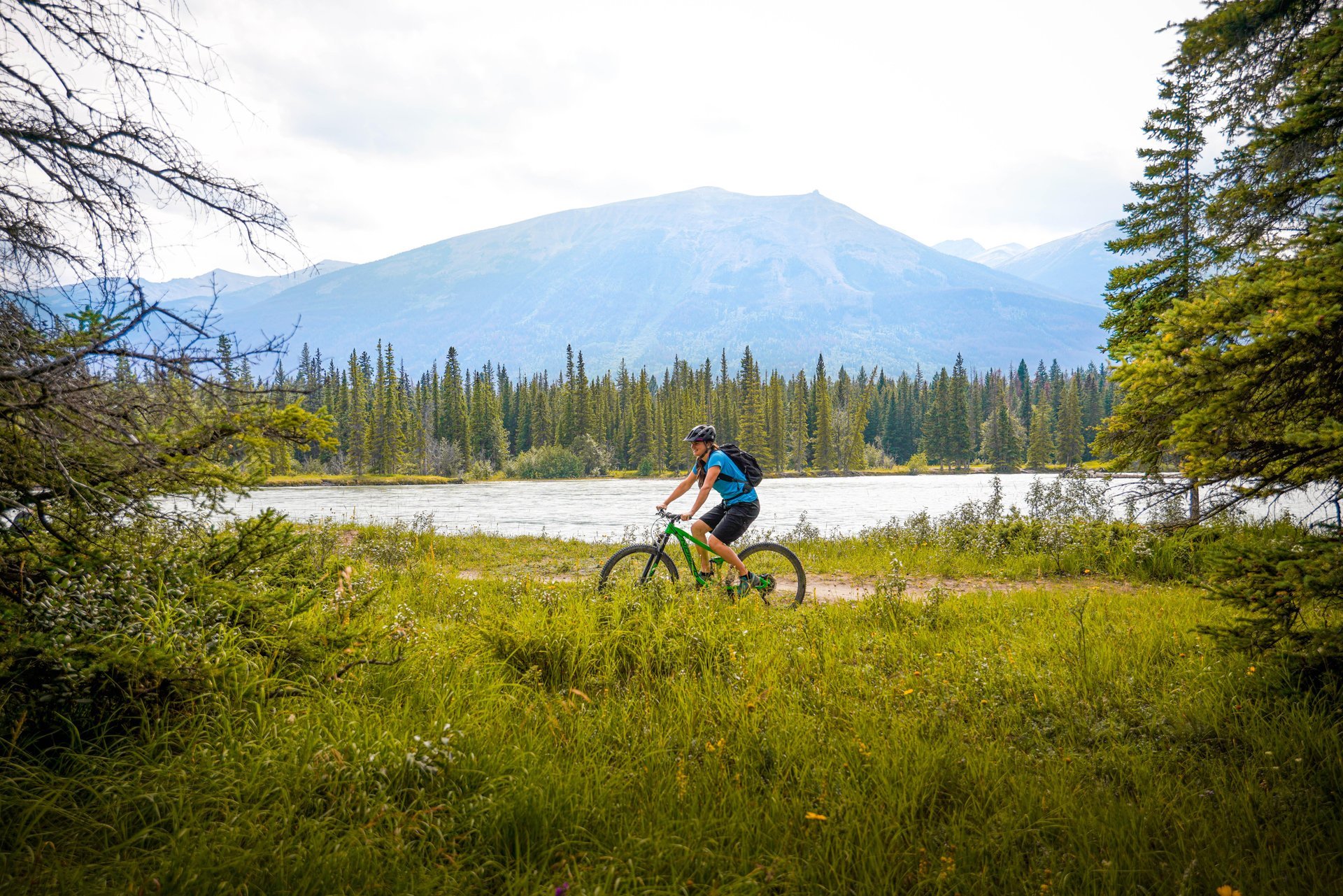 Journey Bike Guided Tours