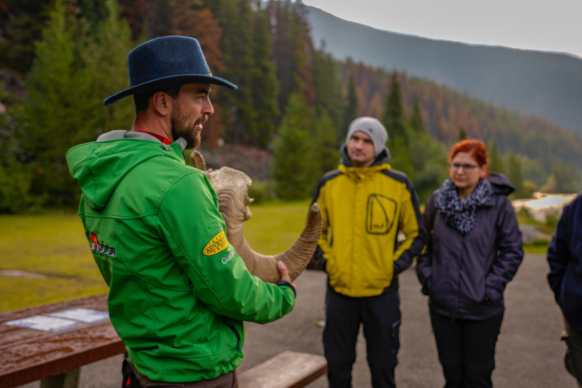 Sundog Tours - Wildlife Guided Tours