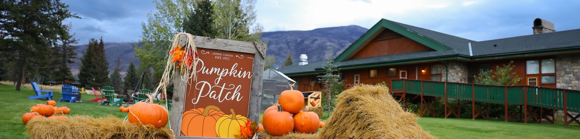 Pumpkin patch at Fairmont Jasper Park Lodge