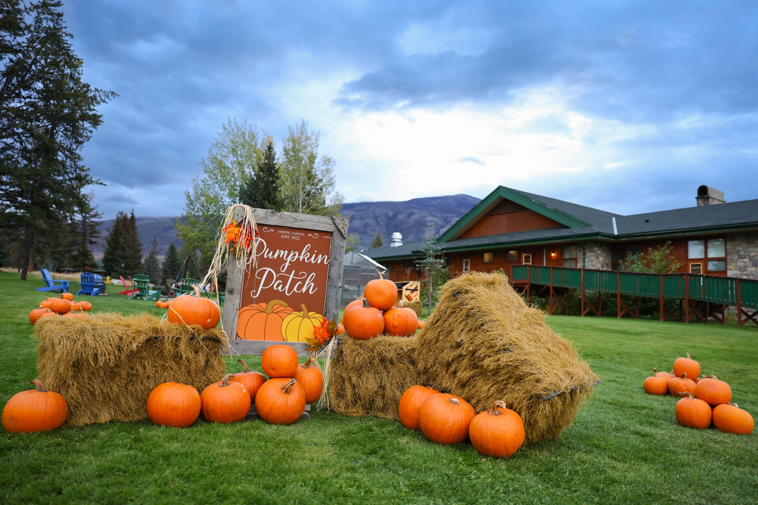 Pumpkin patch at Fairmont Jasper Park Lodge