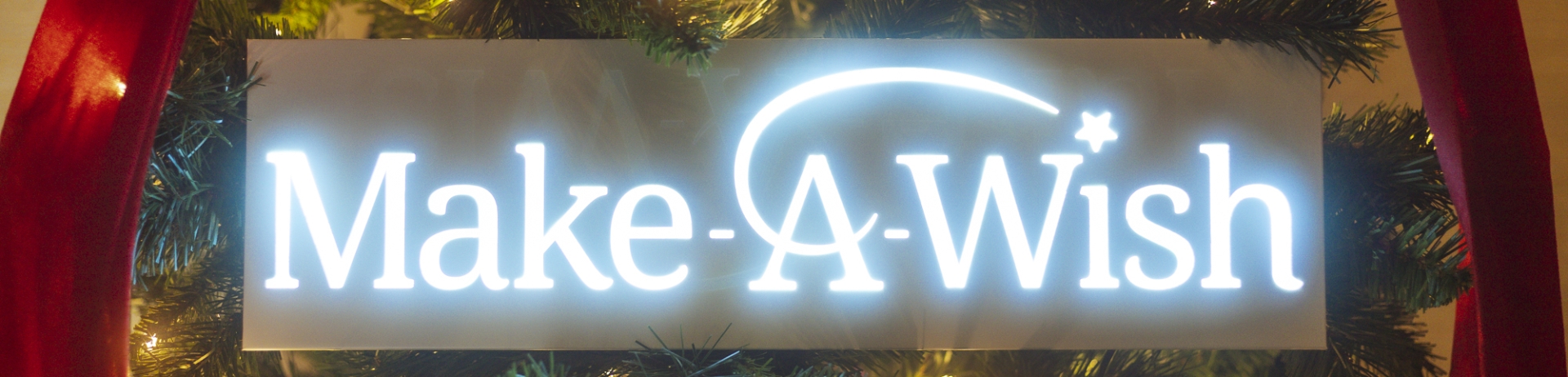 Make a Wish- Wishing Tree