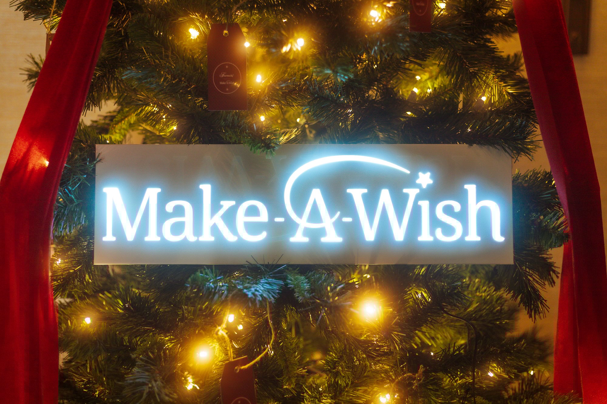 Make a Wish- Wishing Tree