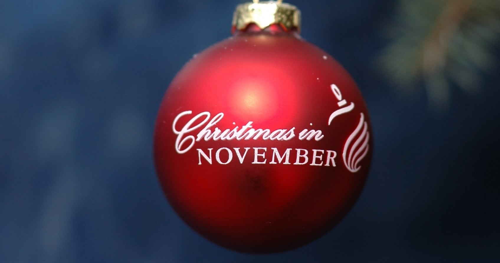 Christmas ornament hanging on a tree.