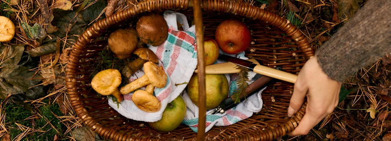 Basket of foraged ingredients