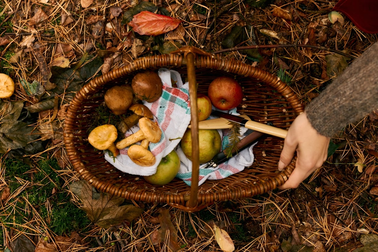 Basket of foraged ingredients
