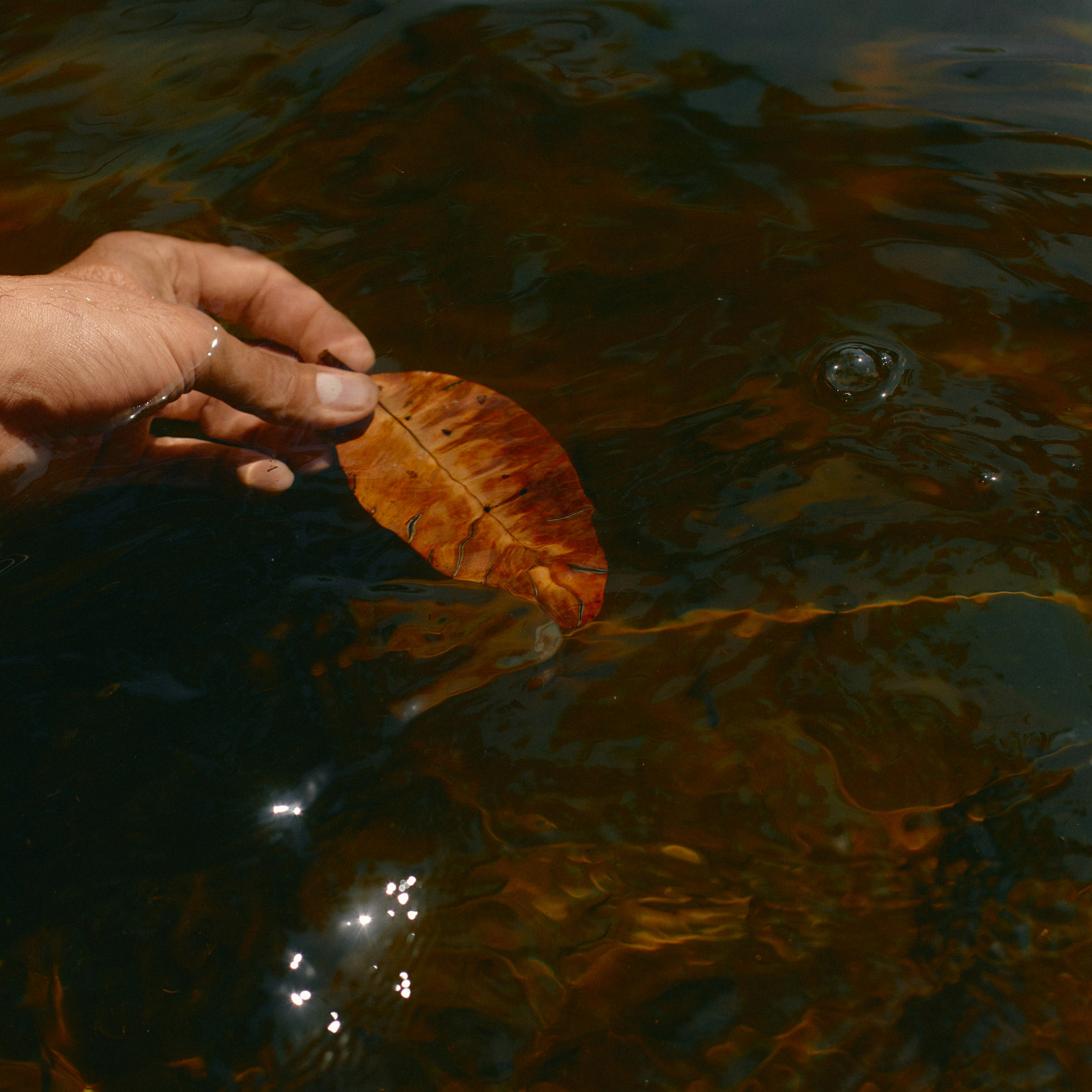 Person holding orange leaf on top of lake.